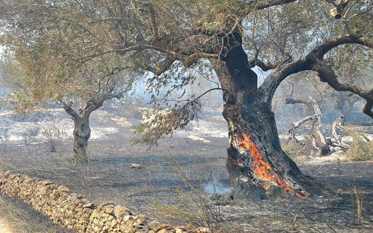 Βελτιώνεται η κατάσταση στη Ζάκυνθο – Παραμένει ο κίνδυνος αναζωπυρώσεων